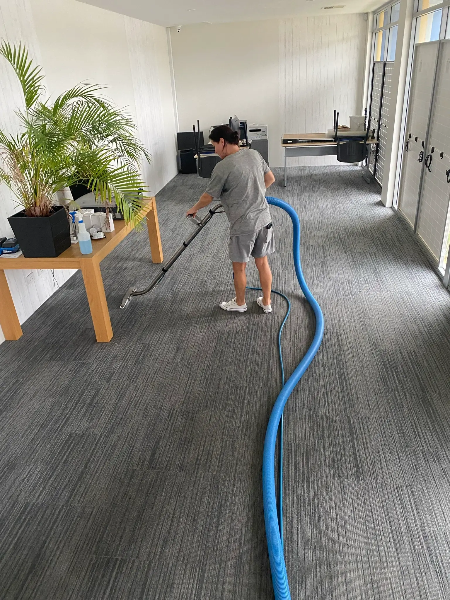 Professional Carpet Steam Cleaning